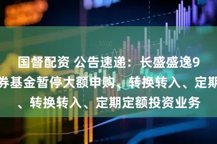 国督配资 公告速递：长盛盛逸9个月持有期债券基金暂停大额申购、转换转入、定期定额投资业务