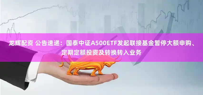 龙辉配资 公告速递：国泰中证A500ETF发起联接基金暂停大额申购、定期定额投资及转换转入业务