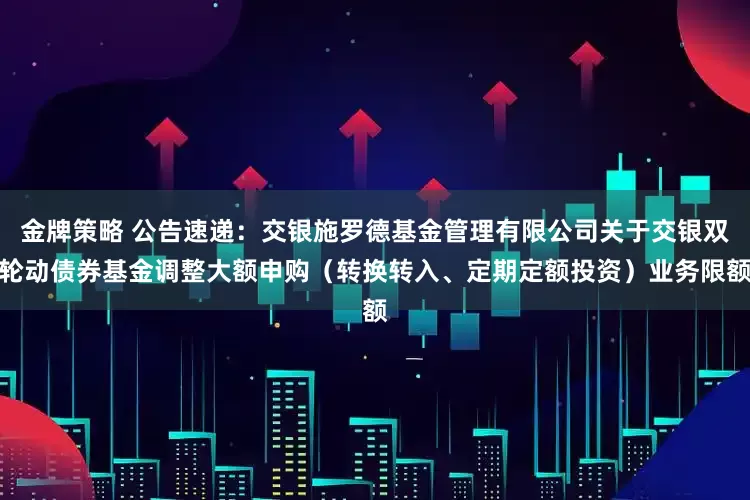 金牌策略 公告速递：交银施罗德基金管理有限公司关于交银双轮动债券基金调整大额申购（转换转入、定期定额投资）业务限额