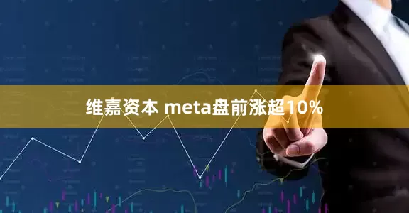 维嘉资本 meta盘前涨超10%