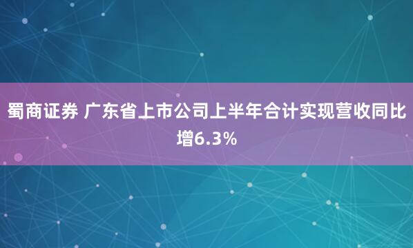 蜀商证券 广东省上市公司上半年合计实现营收同比增6.3%